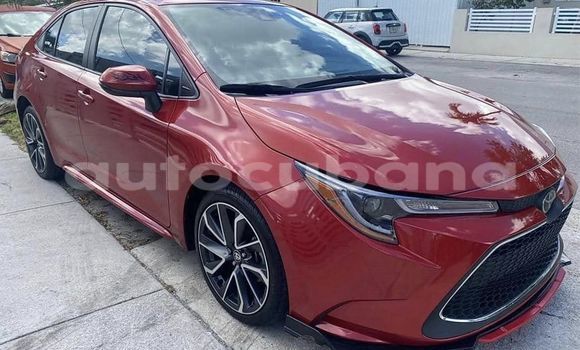 Comprar Usados Carro Toyota Corolla Rojo en Antilla en Holguin Comprar Usados Carro Toyota Corolla Rojo en Antilla en Holguin