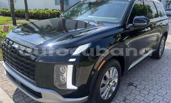 Comprar Usados Carro Hyundai Pony Negro en Baguanos en Holguin Comprar Usados Carro Hyundai Pony Negro en Baguanos en Holguin