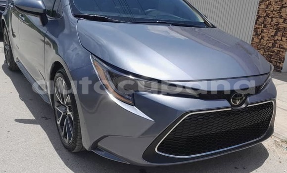 Comprar Usados Carro Toyota Corolla Otro en Antilla en Holguin Comprar Usados Carro Toyota Corolla Otro en Antilla en Holguin