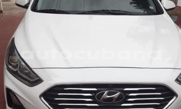 Comprar Usados Carro Hyundai Sonata Blanco en Antilla en Holguin Comprar Usados Carro Hyundai Sonata Blanco en Antilla en Holguin