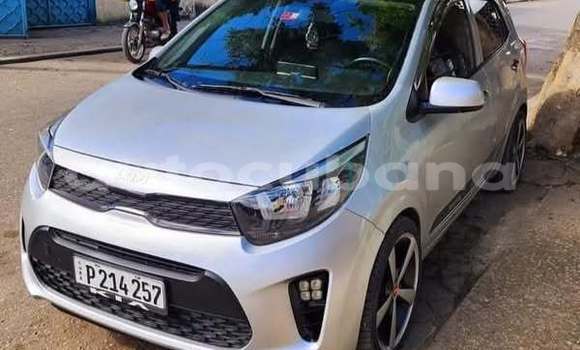 Comprar Usados Carro Kia Picanto Otro en Alacranes en Matanzas Comprar Usados Carro Kia Picanto Otro en Alacranes en Matanzas