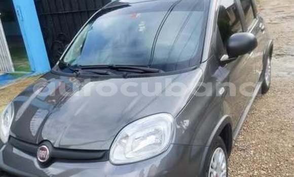 Comprar Usados Carro Fiat Panda Otro en Antilla en Holguin Comprar Usados Carro Fiat Panda Otro en Antilla en Holguin