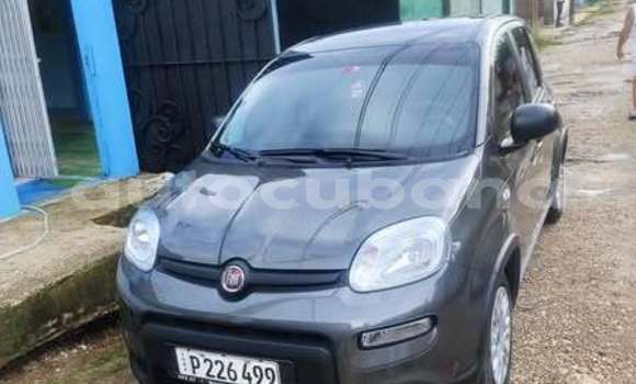 Comprar Usados Carro Fiat Panda Otro en Antilla en Holguin Comprar Usados Carro Fiat Panda Otro en Antilla en Holguin
