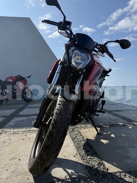 Big with watermark zero s habana havana 3327