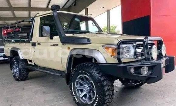 Buy Used Toyota Land Cruiser Beige Car in Sagua de Tanamo in Holguin