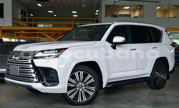 Comprar Usados Carro Lexus LX Blanco en Havana en Habana