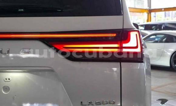 Comprar Usados Carro Lexus LX Blanco en Havana en Habana Comprar Usados Carro Lexus LX Blanco en Havana en Habana