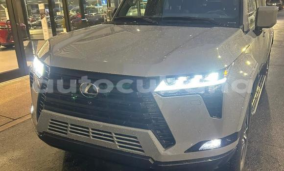 Comprar Usados Carro Lexus GX Blanco en Havana en Habana Comprar Usados Carro Lexus GX Blanco en Havana en Habana