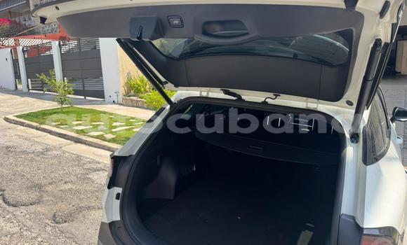 Comprar Usados Carro Kia Sportage Blanco en Havana en Habana Comprar Usados Carro Kia Sportage Blanco en Havana en Habana