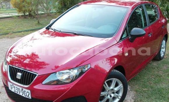 Buy Used SEAT Ibiza Other Car in Cauto Cristo in Holguin