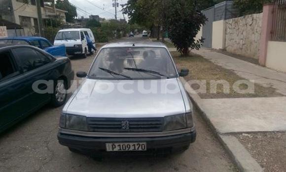 Buy Used Peugeot 309 Other Car in Cacocum in Holguin