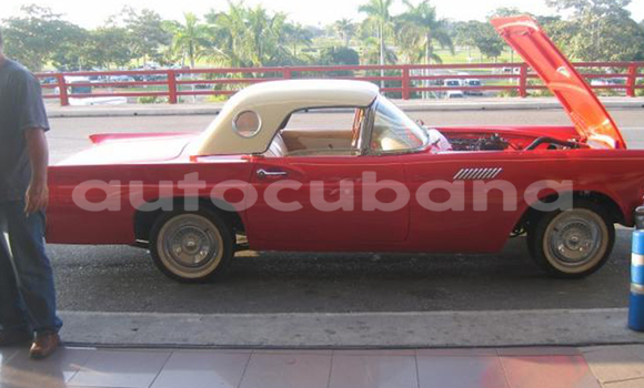 Buy Used Ford Thunderbird Other Car in Agramonte in Matanzas