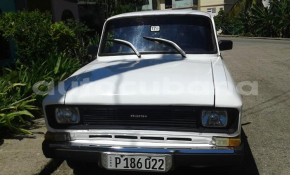 Medium with watermark post id 13068 tzzct