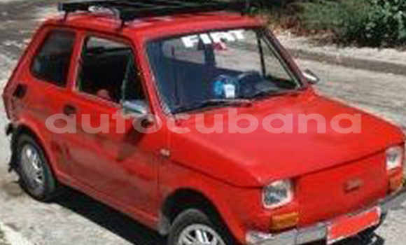 Medium with watermark post id 13057 543wc