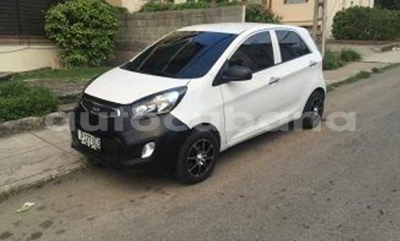 Buy Used Kia Picanto Other Car in Jiguani in Granma