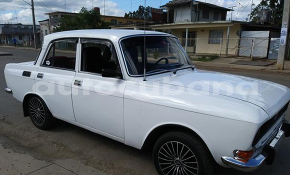 Medium with watermark post id 9557 mw4ba