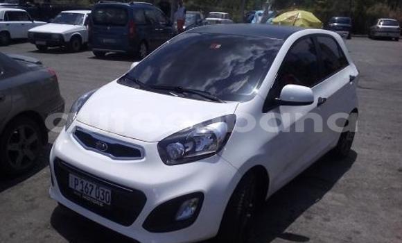 Buy Used Kia Picanto Other Car in Campechuela in Granma