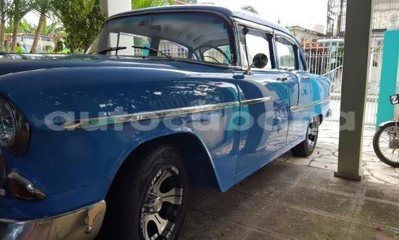 Medium with watermark post id 3966 xbthv