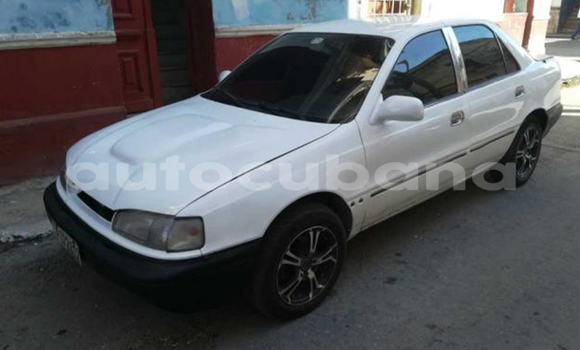 Medium with watermark post id 13564 spalb