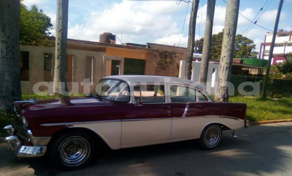 Medium with watermark post id 8579 n8saa