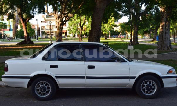 Buy Used Toyota Corolla Other Car in Cienfuegos in Cienfuegos