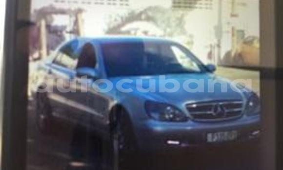 Buy Used Mercedes-Benz S320 Other Car in Nuevitas in Camaguey