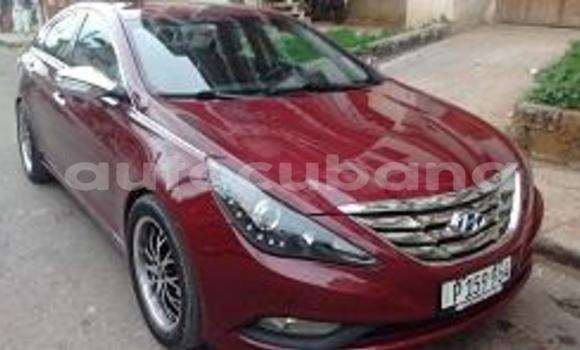 Medium with watermark post id 3120 d3zfn