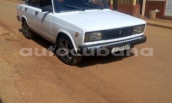 Medium with watermark post id 6801 vafme