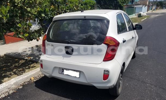 Buy Used Kia Picanto Other Car in Media Luna in Granma Buy Used Kia Picanto Other Car in Media Luna in Granma