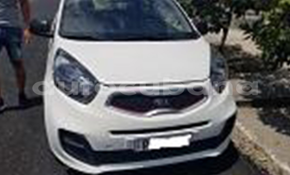 Buy Used Kia Picanto Other Car in Media Luna in Granma Buy Used Kia Picanto Other Car in Media Luna in Granma