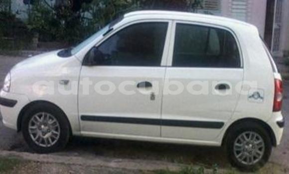 Medium with watermark post id 5613 zv5do