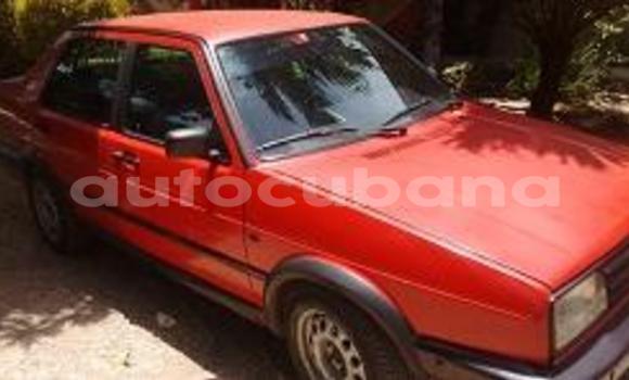 Medium with watermark post id 3649 zrrs5