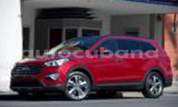 Medium with watermark post id 8904 jewcd