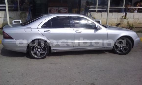 Buy Used Mercedes-Benz S320 Other Car in Havana in Habana