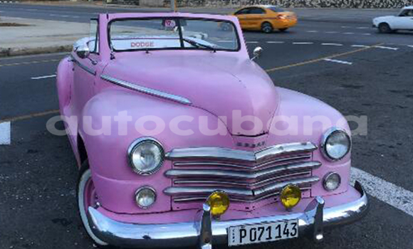 Medium with watermark post id 9823 unsv9