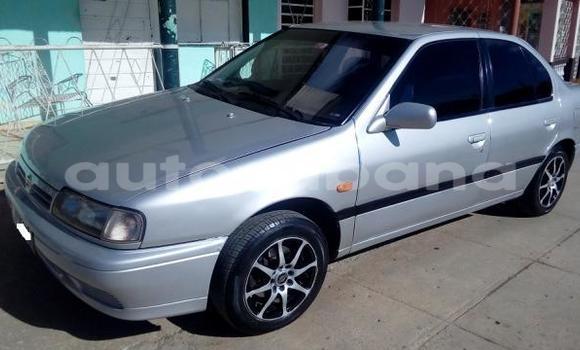 Buy Used Nissan Primera Other Car in Rio Cauto in Granma