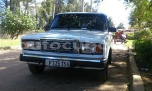 Medium with watermark post id 5362 qlwjw