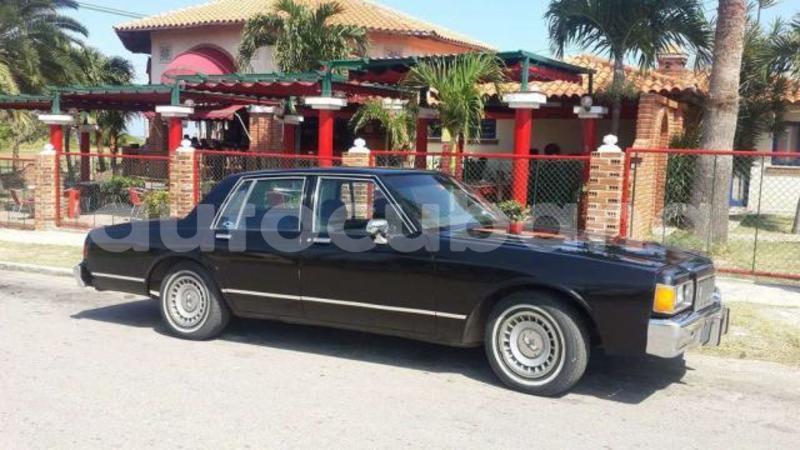 Big with watermark post id 2680 xj9im