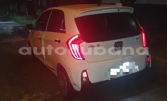 Comprar Usados Carro Kia Picanto Blanco en Havana en Habana Comprar Usados Carro Kia Picanto Blanco en Havana en Habana