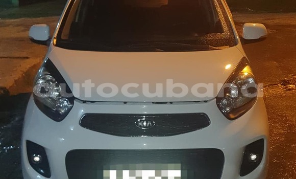 Comprar Usados Carro Kia Picanto Blanco en Havana en Habana Comprar Usados Carro Kia Picanto Blanco en Havana en Habana