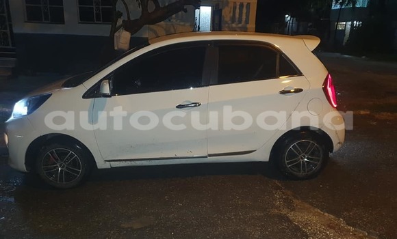 Comprar Usados Carro Kia Picanto Blanco en Havana en Habana Comprar Usados Carro Kia Picanto Blanco en Havana en Habana