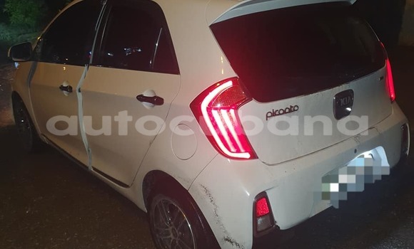 Comprar Usados Carro Kia Picanto Blanco en Havana en Habana Comprar Usados Carro Kia Picanto Blanco en Havana en Habana