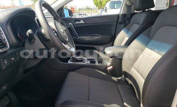 Buy Used Kia Sportage Other Car in Havana in Habana Buy Used Kia Sportage Other Car in Havana in Habana