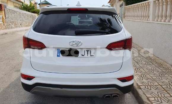Buy Import Hyundai Santa Fe White Car in Havana in Habana Buy Import Hyundai Santa Fe White Car in Havana in Habana