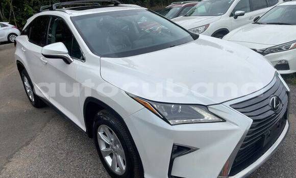 Buy Used Lexus RX 350 White Car in Havana in Habana