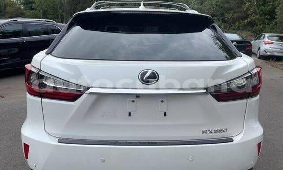 Buy Used Lexus RX 350 White Car in Havana in Habana Buy Used Lexus RX 350 White Car in Havana in Habana