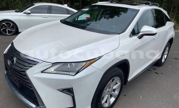 Buy Used Lexus RX 350 White Car in Havana in Habana Buy Used Lexus RX 350 White Car in Havana in Habana