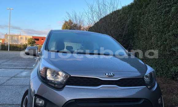 Medium with watermark kia picanto holguin holguin 2629