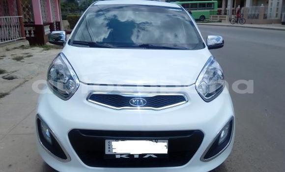 Buy Used Kia Picanto Other Car in Aguacate in Matanzas