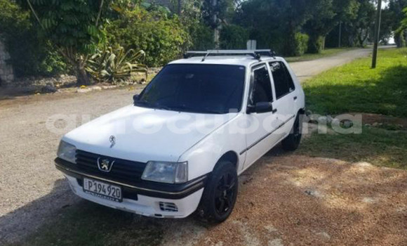 Buy Used Peugeot 205 Other Car in Palmira in Cienfuegos